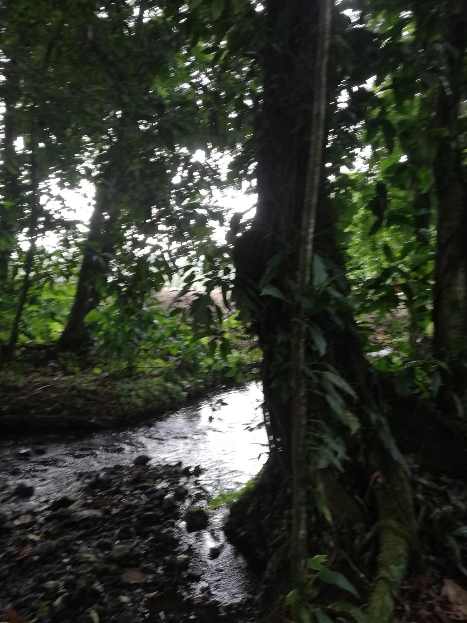 Paraiso Verde Siqurres Da Alegria Exterior foto
